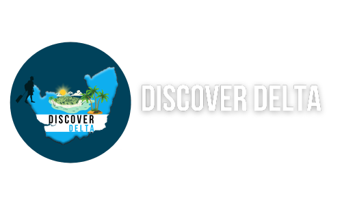 Discover Delta